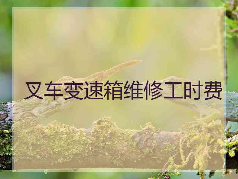 叉车变速箱维修工时费