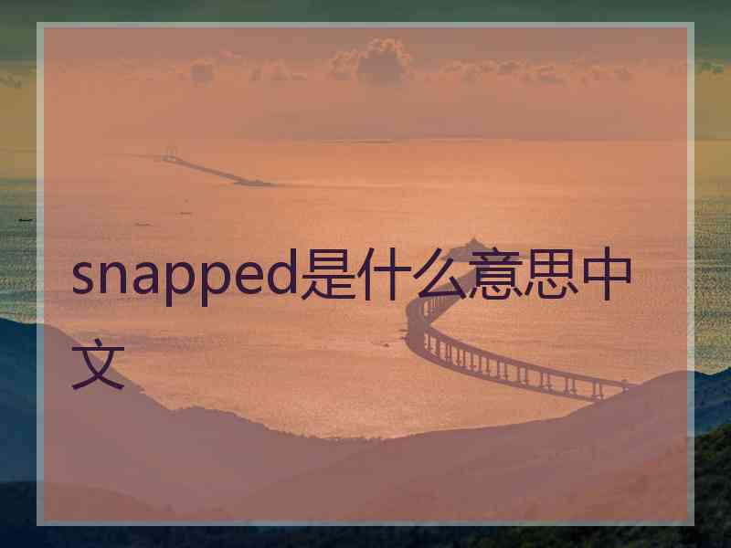 snapped是什么意思中文