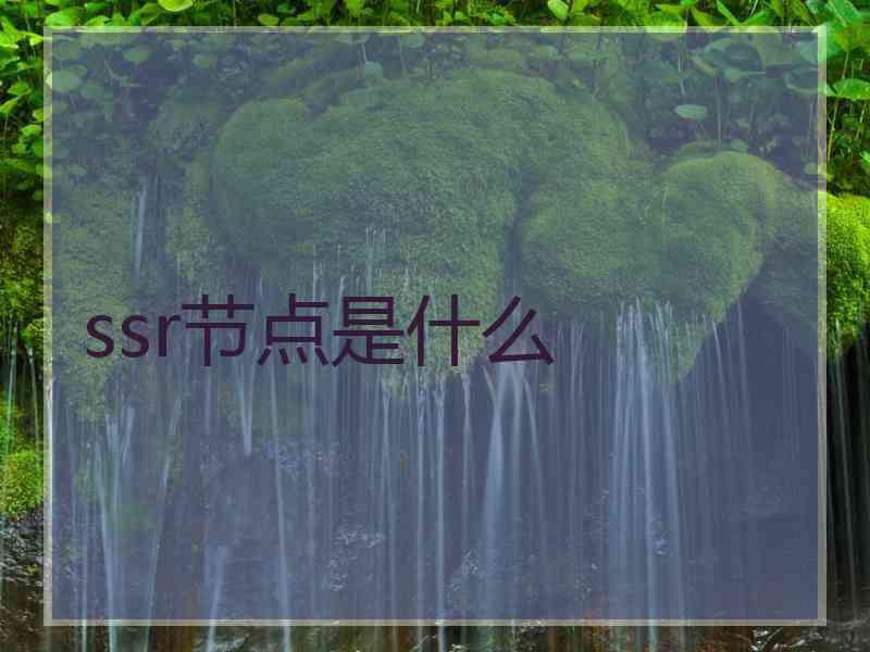 ssr节点是什么