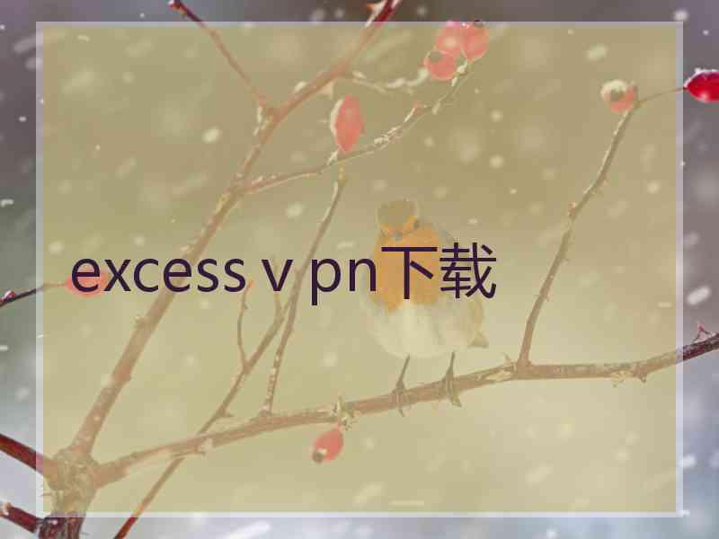 excessⅴpn下载