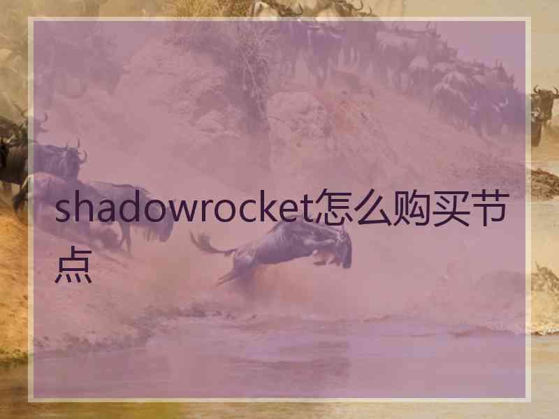 shadowrocket怎么购买节点