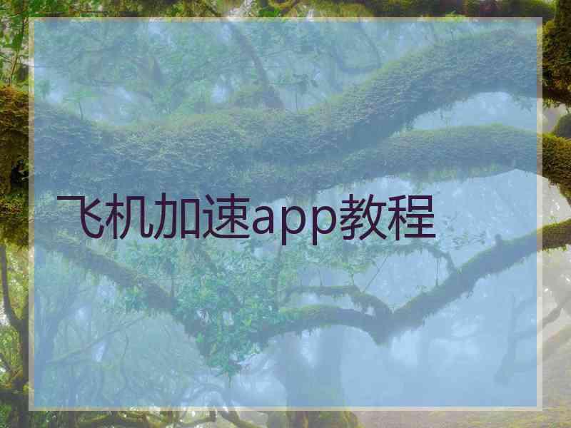 飞机加速app教程