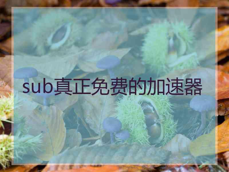 sub真正免费的加速器