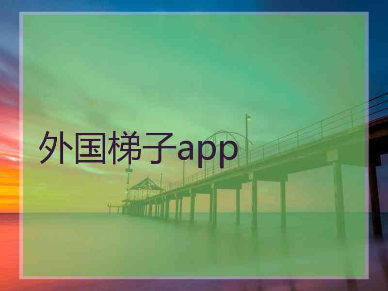 外国梯子app