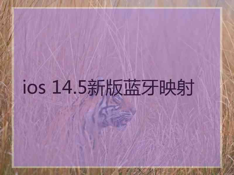 ios 14.5新版蓝牙映射