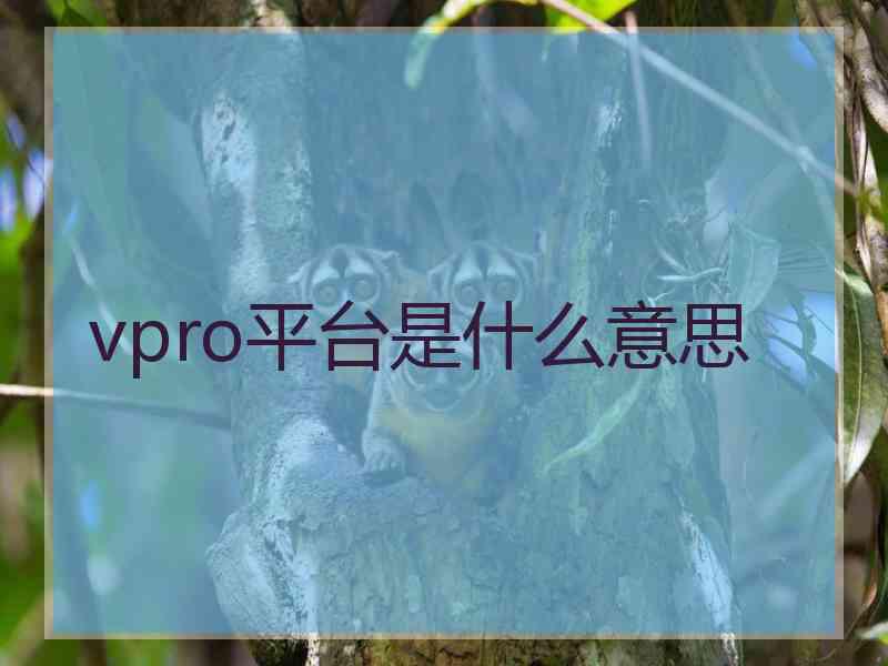 vpro平台是什么意思