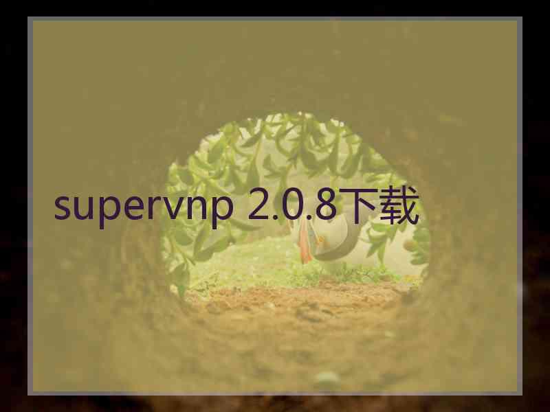 supervnp 2.0.8下载