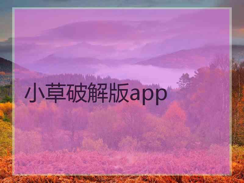 小草破解版app