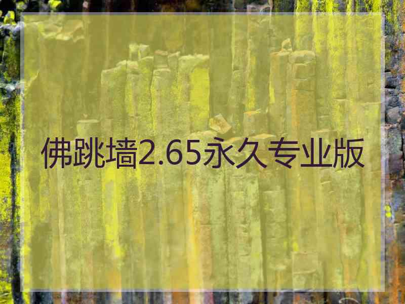 佛跳墙2.65永久专业版