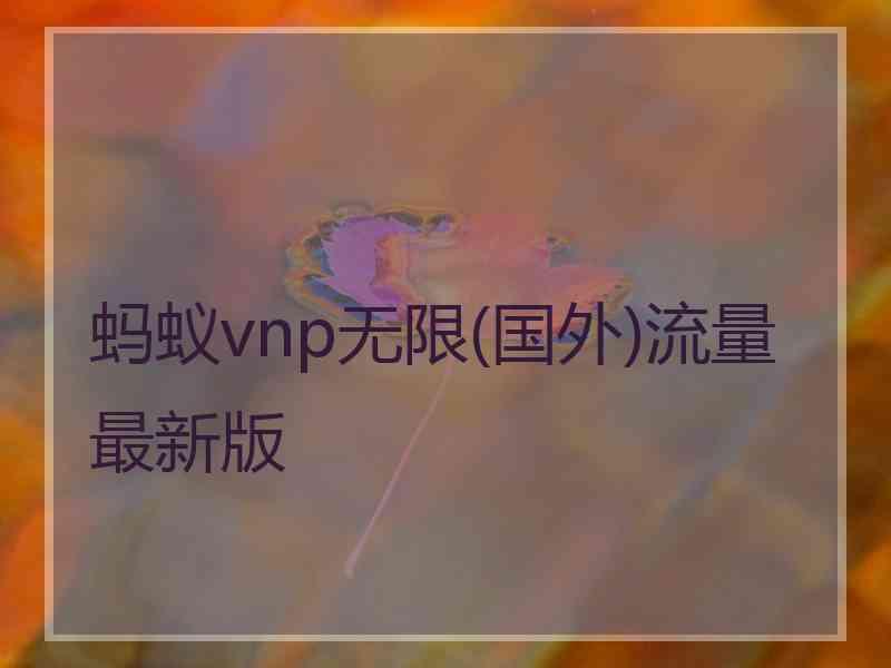 蚂蚁vnp无限(国外)流量最新版