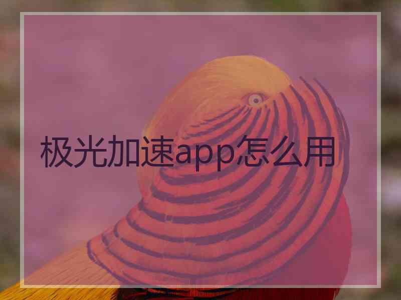 极光加速app怎么用