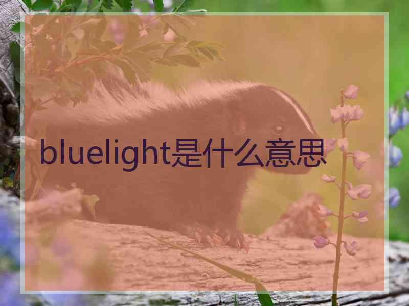 bluelight是什么意思