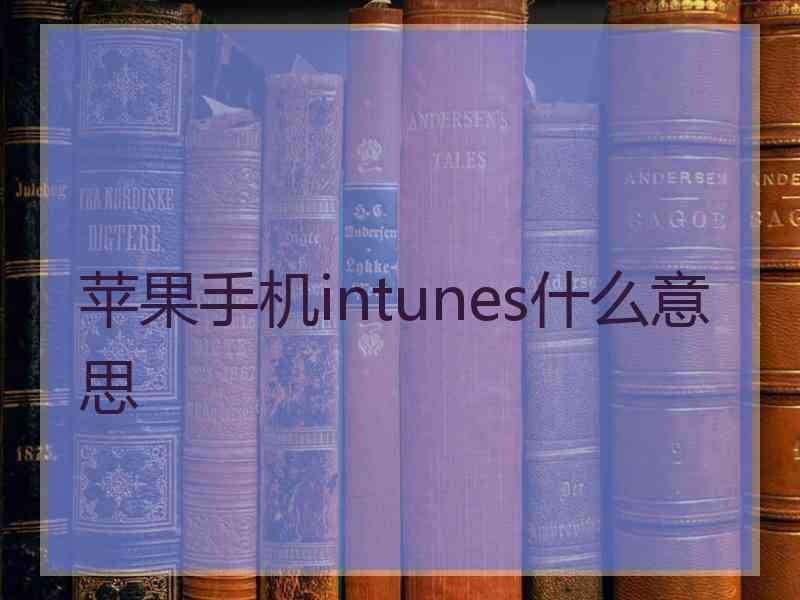 苹果手机intunes什么意思