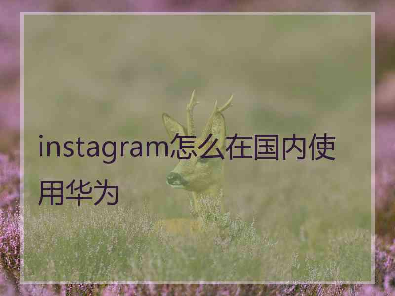 instagram怎么在国内使用华为