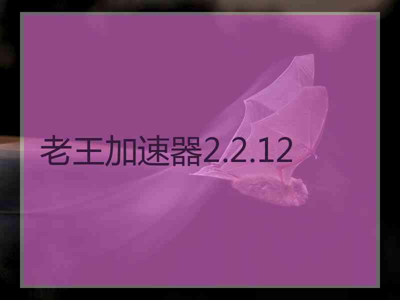 老王加速器2.2.12