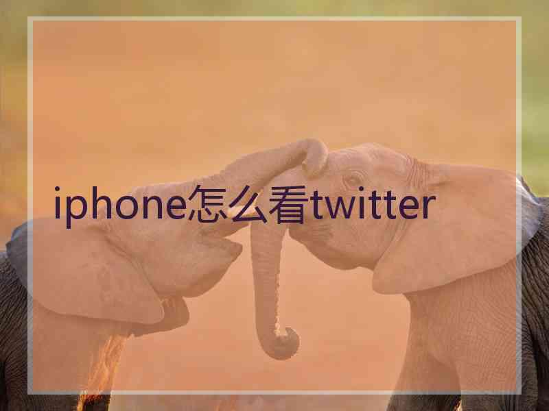 iphone怎么看twitter