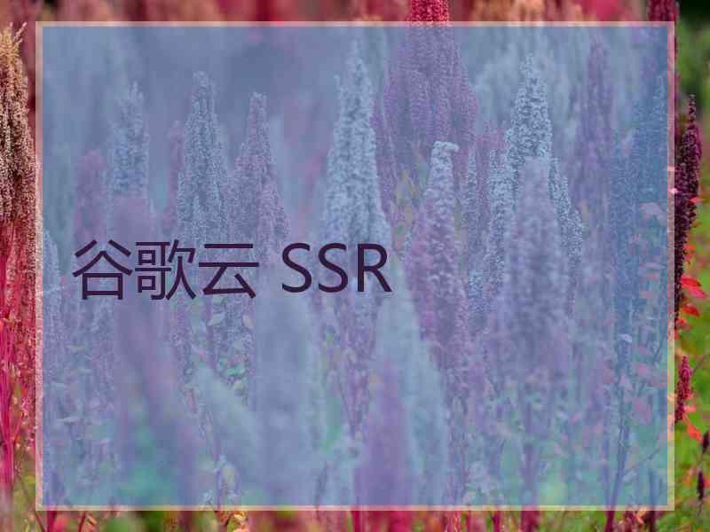 谷歌云 SSR