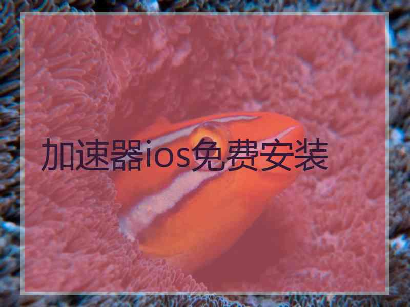 加速器ios免费安装