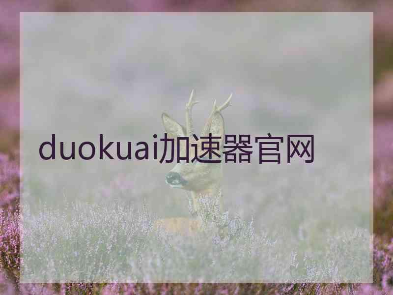 duokuai加速器官网