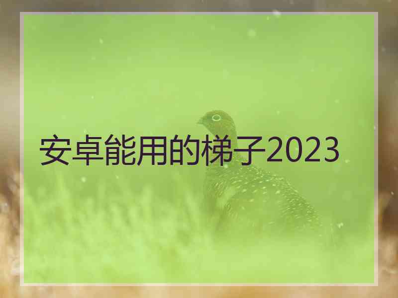 安卓能用的梯子2023