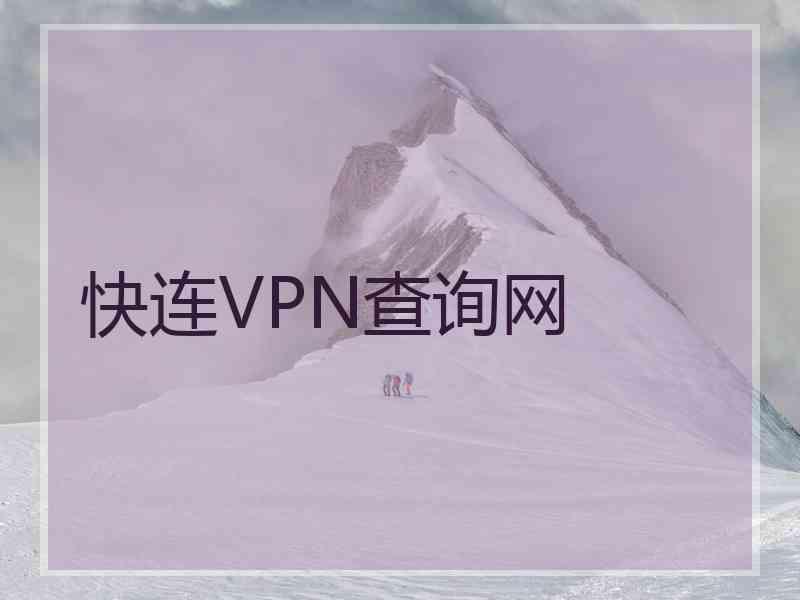 快连VPN查询网