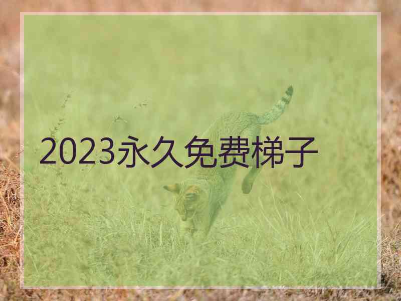 2023永久免费梯子