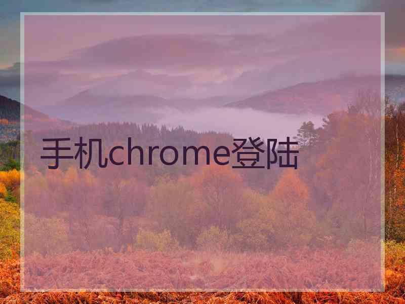 手机chrome登陆