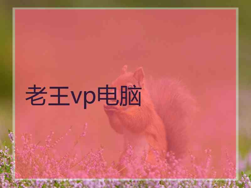 老王vp电脑