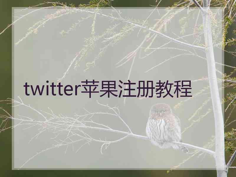 twitter苹果注册教程