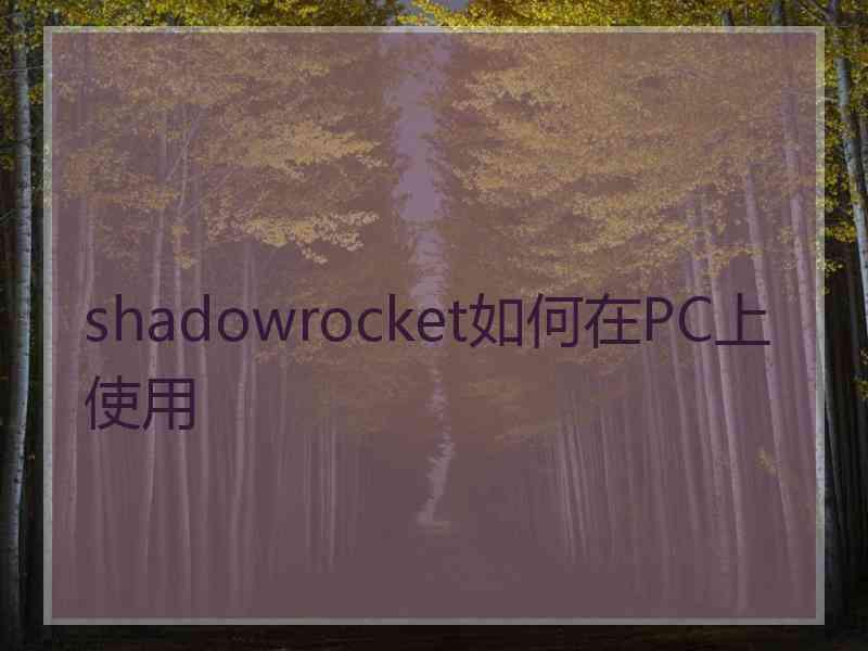 shadowrocket如何在PC上使用