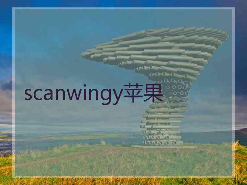 scanwingy苹果