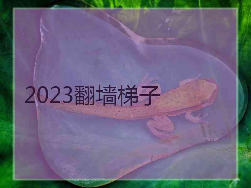 2023翻墙梯子