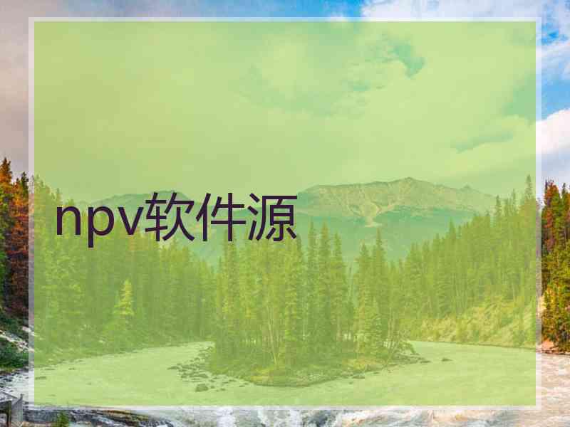 npv软件源