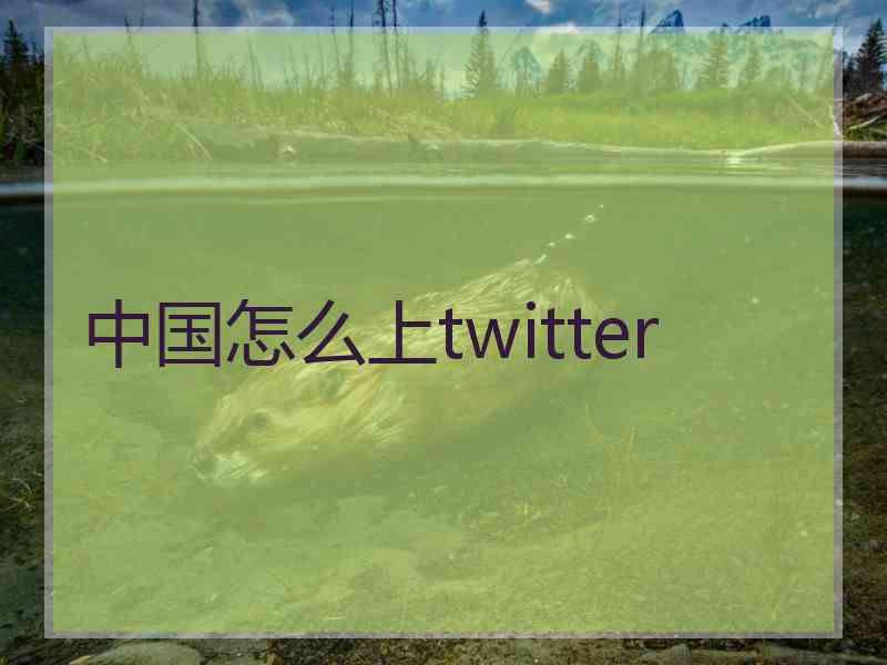 中国怎么上twitter