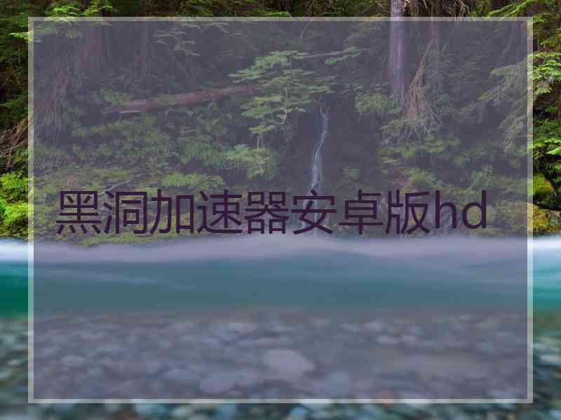 黑洞加速器安卓版hd