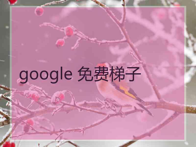 google 免费梯子