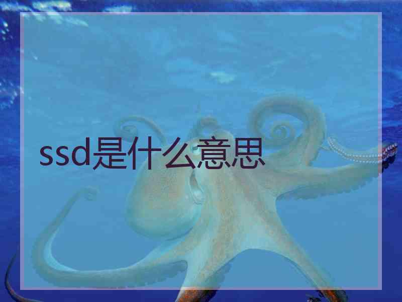 ssd是什么意思