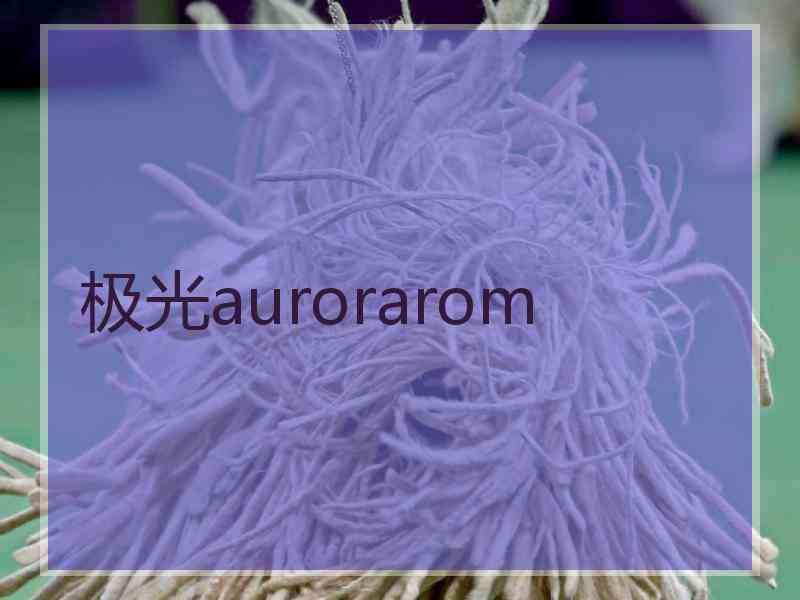 极光aurorarom