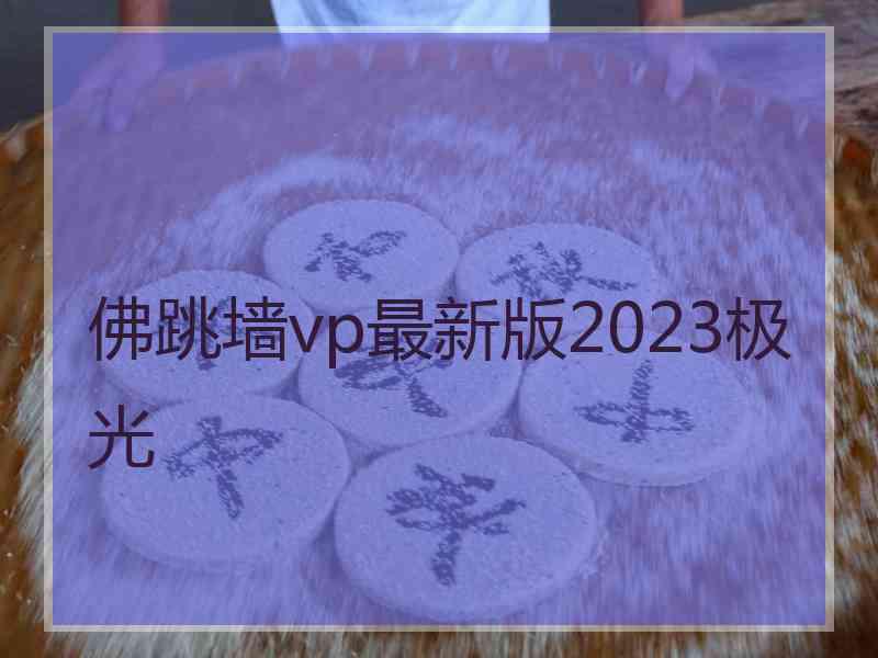 佛跳墙vp最新版2023极光