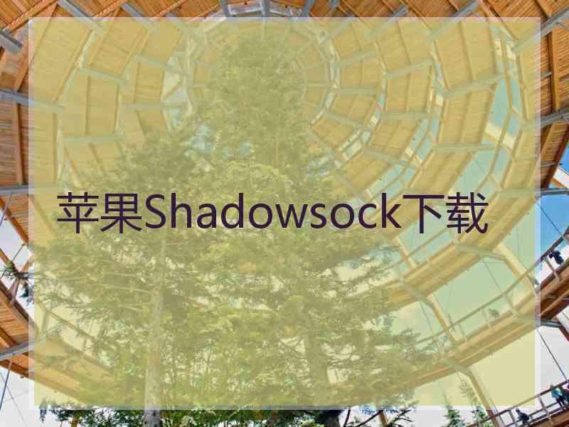 苹果Shadowsock下载