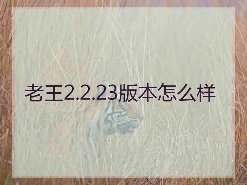 老王2.2.23版本怎么样