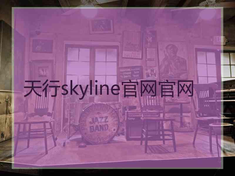 天行skyline官网官网