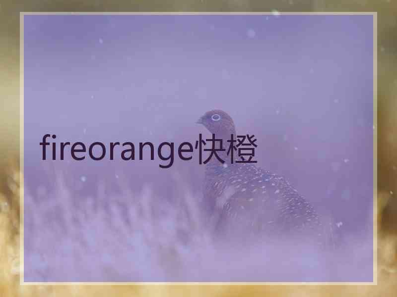 fireorange快橙