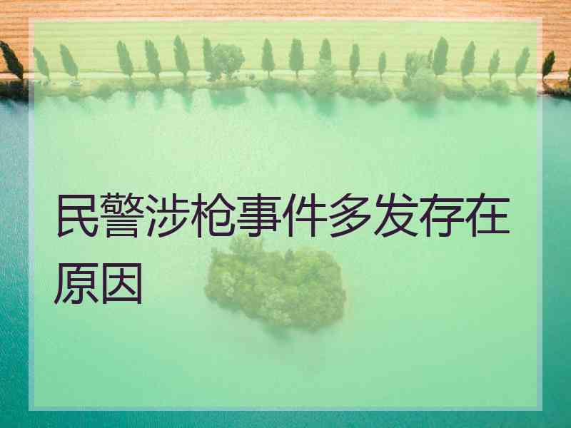 民警涉枪事件多发存在原因