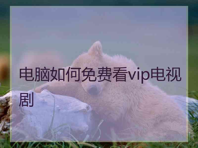 电脑如何免费看vip电视剧