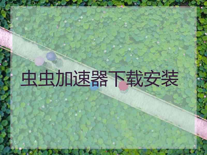 虫虫加速器下载安装