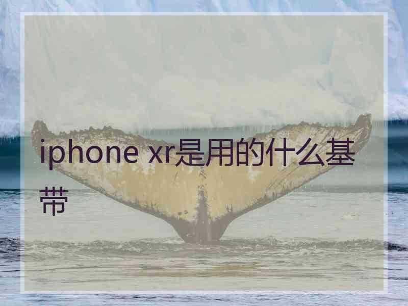 iphone xr是用的什么基带