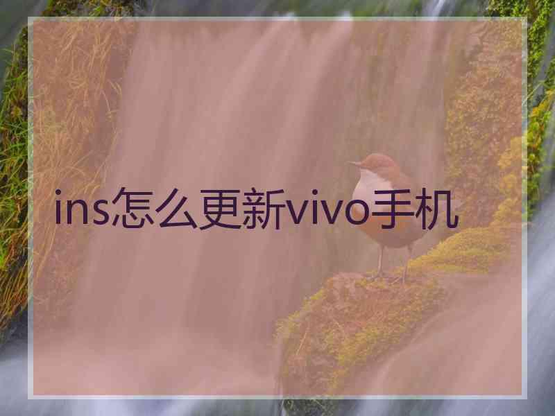 ins怎么更新vivo手机