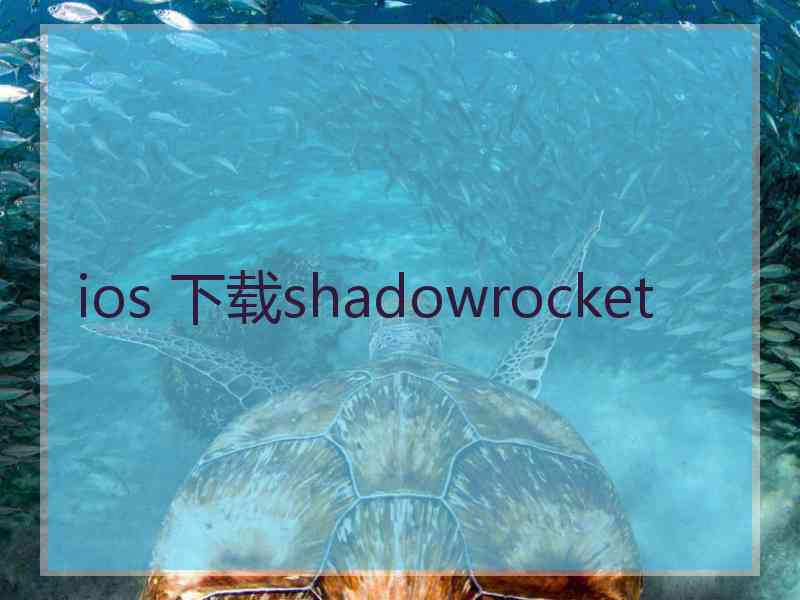 ios 下载shadowrocket