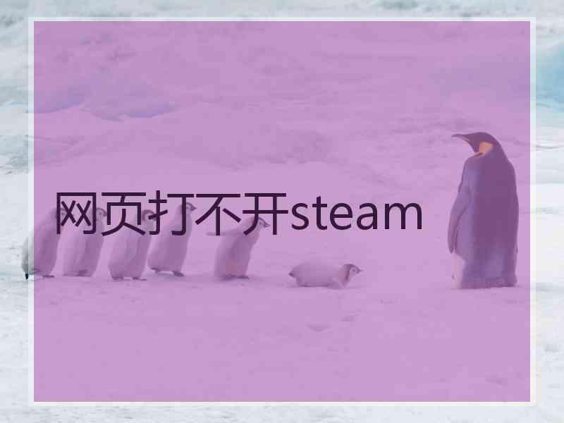 网页打不开steam